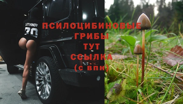 трава Волосово